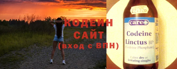 хмурый Инсар