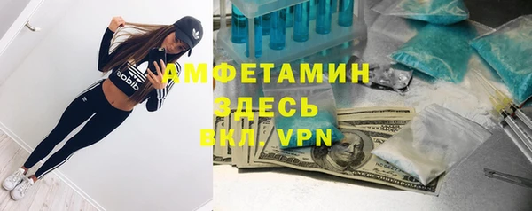 тгк Каменка