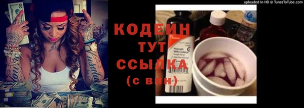 тгк Каменка