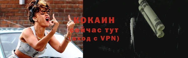 тгк Каменка