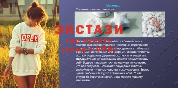 тгк Каменка