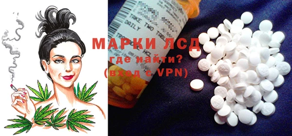 гидра Майский