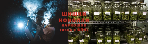тгк Каменка