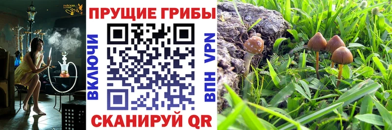 Галлюциногенные грибы мухоморы  как найти наркотики  Павловская 