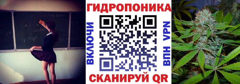 как найти   Павловская  ссылка на мегу зеркало  Каннабис Ganja 